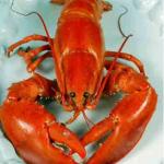 "Lobster on the Lawn" to "Mass on the Grass":  Episcopal churches welcome you this summer