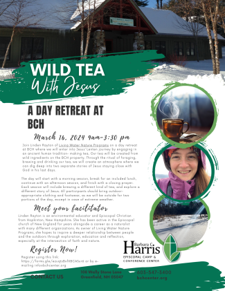 Wild Tea day retreat flier graphic