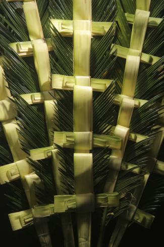 Palm crosses