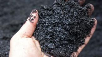 biochar 