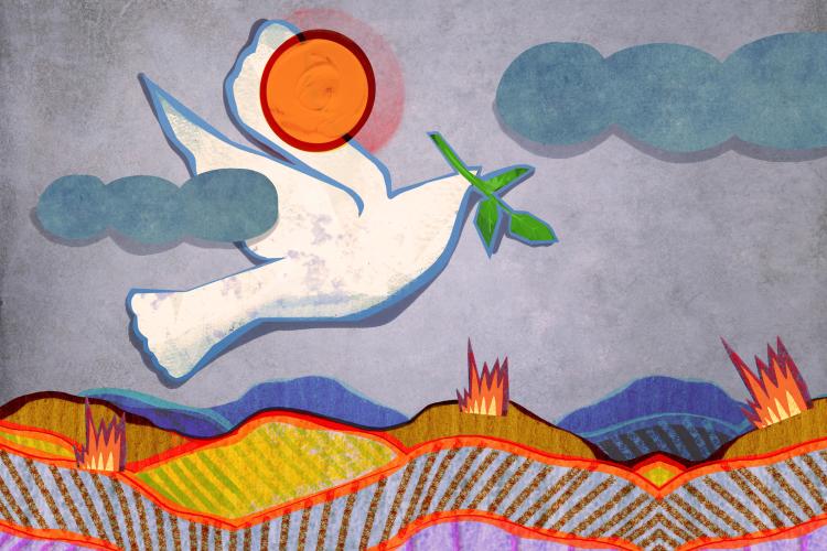 Peace dove image