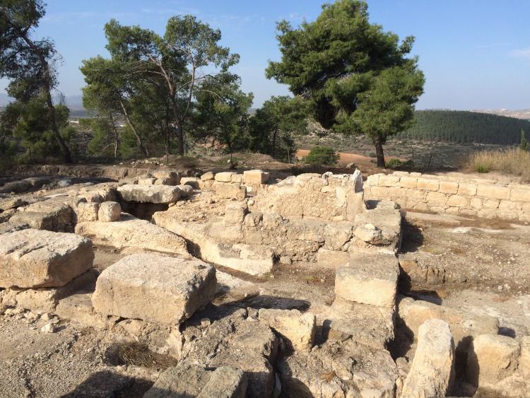 Galilee hillside with stones and trees