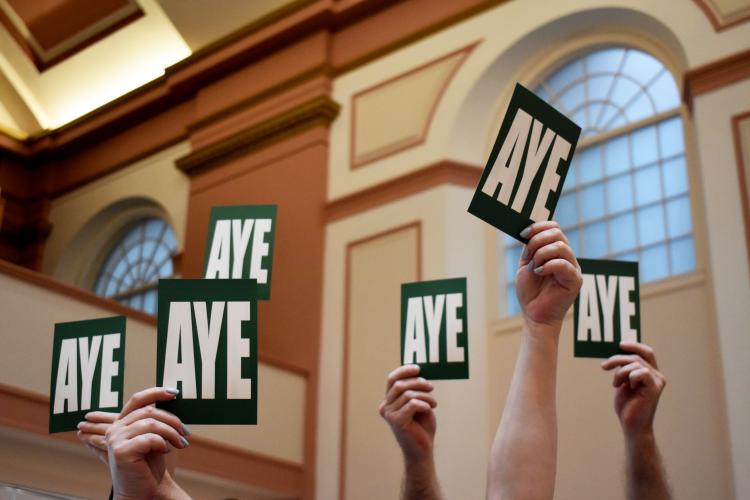 Voting cards held aloft