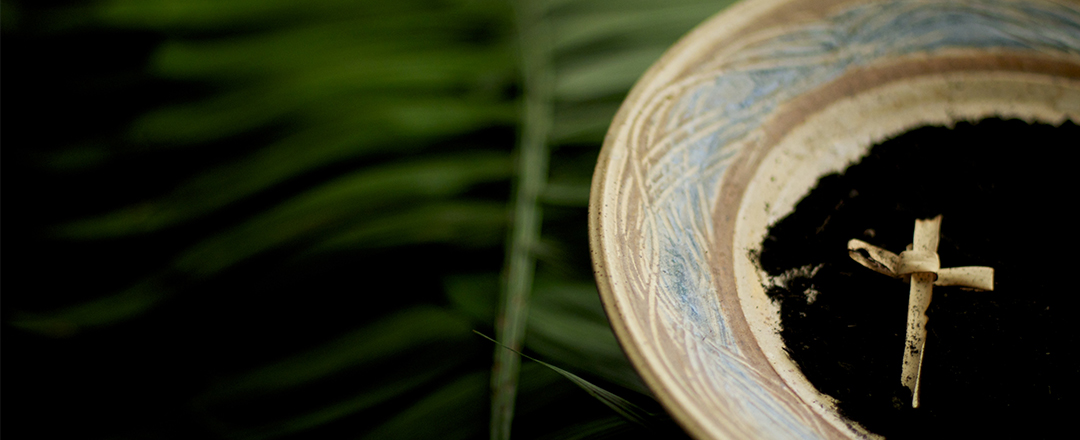 Palms and ashes photo