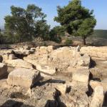 Galilee hillside with stones and trees