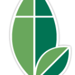 BCH Camp and Conference Center leaf and cross logo