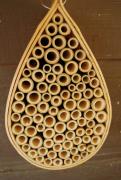 mason bees